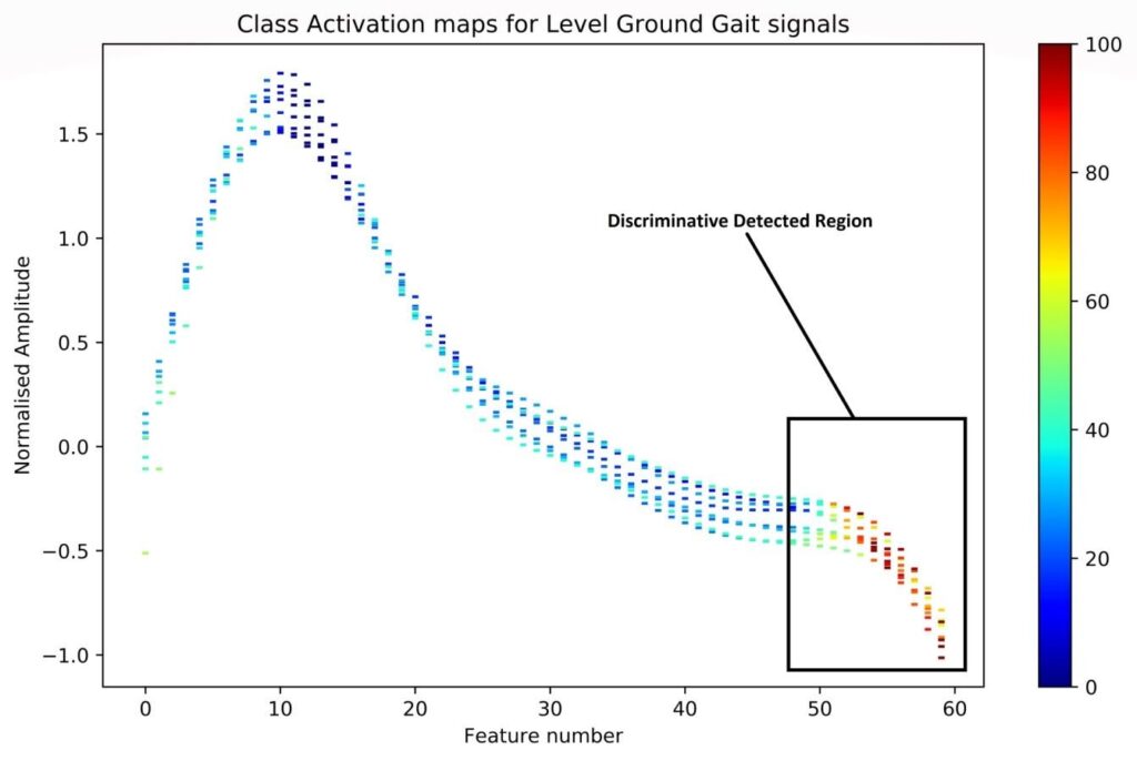 Class activation maps for level ground walking