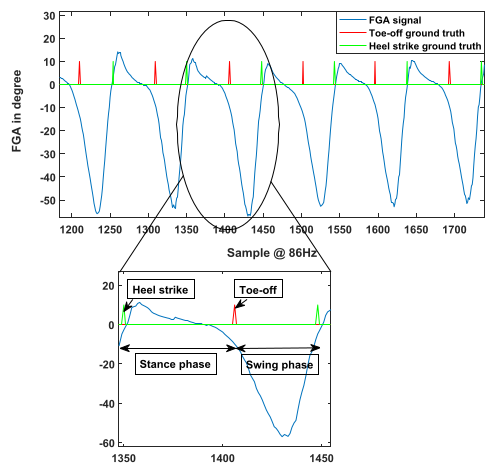 FGA signal with swing and stance phases marked