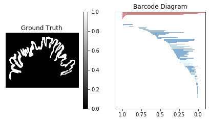 Barcode representation of the ground truth for persistent homology analysis
